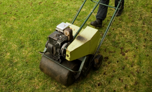 Core Aeration of Lawn