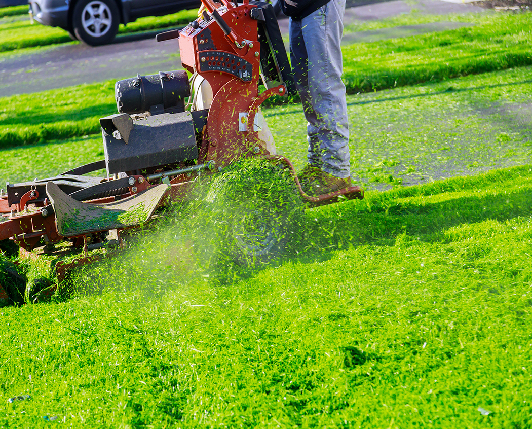 Mowing Lawn, Spring Lawn Care | Perrine Property