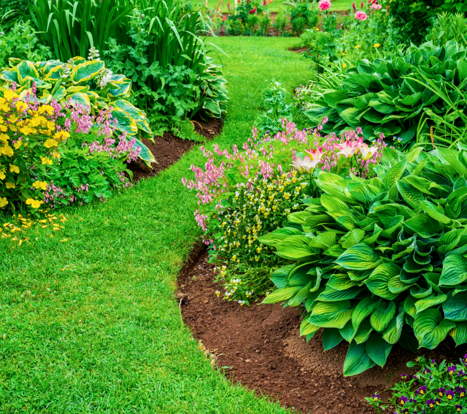 Beautiful and well-maintained lawn and landscapre. Beautiful and well-maintained lawn and landscapre.